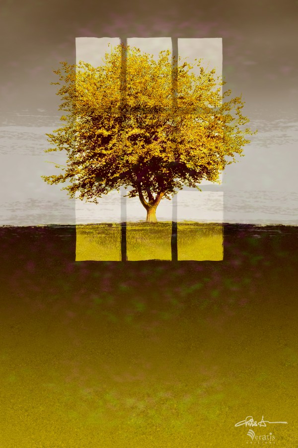 Window on an Amber Tree 2x3 by Veratis Editions